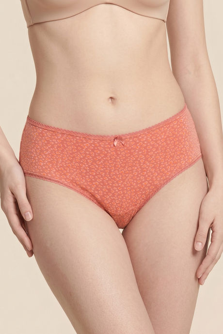 Zivame Regular Rise Full Coverage Hipster Panty (Pack of 3) - Multicolor — image 9
